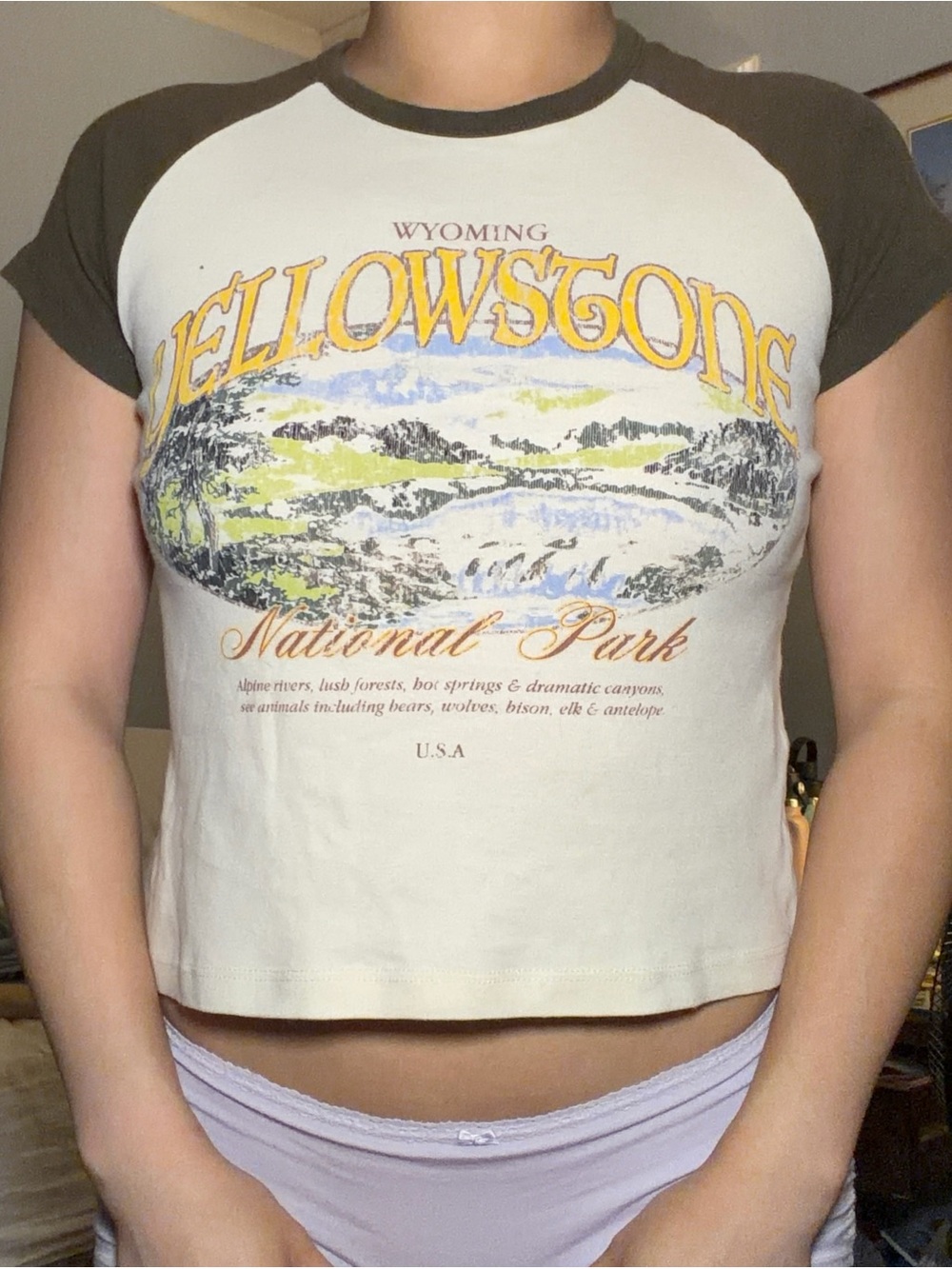 Urban Outfitters Yellowstone Top